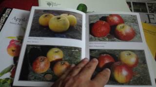 Apples of the Welsh Marches