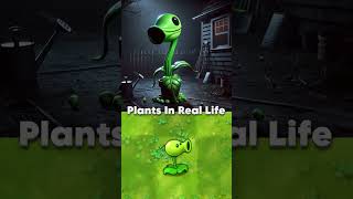 PVZ Plants in real life #plantsvszombies #funnyshorts #pvz #funnymoments