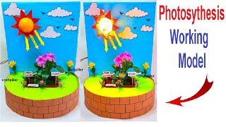photosynthesis working model science project exhibition - diy | craftpiller