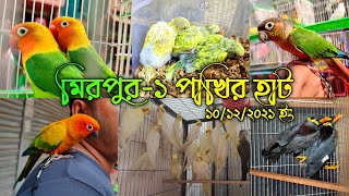 মিরপুর-১ পাখির হাট || স্পেশাল পাখি দিয়ে স্পেশাল ভিডিও তৈরী || Mirpur-1 Pakhir Hat || #Pakhi_Palon