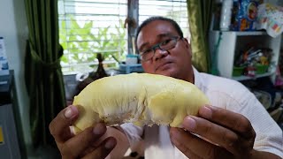 ทุเรียนภูเขาไฟศรีสะเกษ พาหาทรัพย์ทุเรียนภูเขาไฟศรีสะเกษ รีวิวทุเรียนภูเขาไฟศรีสะเกษ ทุเรียนภูเขาไฟ