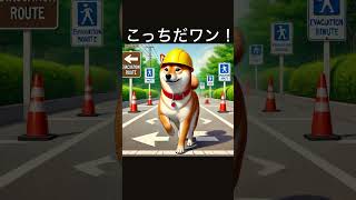 『避難訓練』拒否柴ピース 柴犬 かわいい Nope Shiba Inu Dog 4コマ イラスト 生成AI 犬 今日は何の日 防災 犬漫画 #shorts