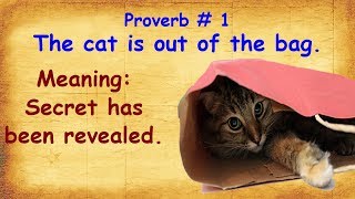 Top 15 English Proverbs with Meaning | Most Useful Proverbs to Speak English Fluently