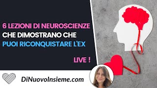 6 lezioni di neuroscienze che dimostrano che puoi riconquistare l'ex