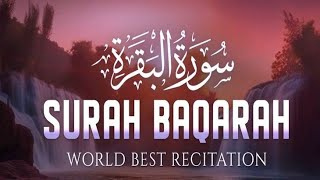 Surah baqrah(The cow) | most beautiful quran recitation| Quran Tilawat#quran#tilawat#beautifulvoice