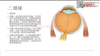 徐高磊神经反射疗法10 第十讲 视神经功能评估与治疗