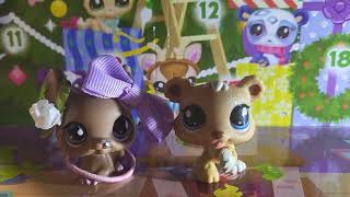 LPS 10. NAP UNBOXING🎀💕