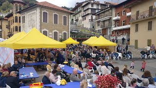 Vaglio Pettinengo - 50a Sagra della Castagna