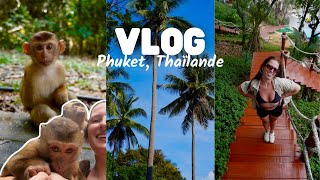 Des singes me montent dessus à Phuket 😮 | VLOG Thaïlande 🇹🇭 [ep.1]