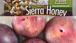 Fancy-Dancy New Fruit:  Sierra Honey Plums...oh honey you're so sweet!