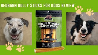 Redbarn Bully Sticks for Dogs Review