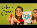 Five sense organs | Teaching sense organs to kids | Props for sense organs