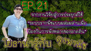 โยธาน่ารู้ EP  21 จากงานวิจัยสู่การประยุกต์ใช้ระบบรากพืชแบบผสมผสานเพื่อป้องกันการพังทลายของลาดดิน