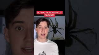 Do You Have A Fear Of Spiders? #Shorts