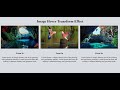 Image Hover Zoom In Transform Effect Using Only HTML & CSS - SFC