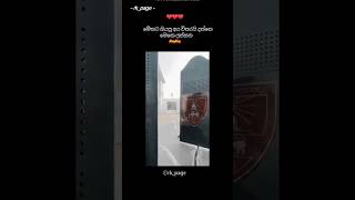 Ananda College Colombo 10 ❤️💛❤️ #foryou #trend #viraltiktok