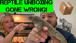 Jacob Feder sent me a Baby Rhino Iguana (2020 Reptile Unboxing)