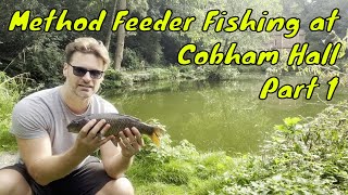 Feeder Fishing at Cobham Hall Part 1