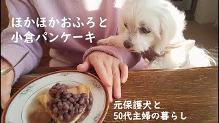 温かく過ごす雪の日❄お風呂と小倉パンケーキ🥞元保護犬マルチーズと50代主婦の暮らし