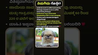 ಅತ್ಯಂತ ವೇಗವಾಗಿ ಓಡುವ ನಾಯಿ ಪ್ರಬೇಧ ಯಾವುದು?