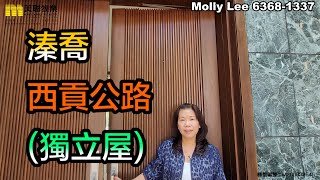 【代理Molly推介】溱喬西貢公路(獨立屋)