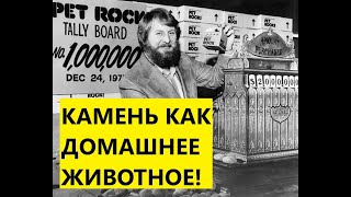 ОН ПРОДАВАЛ КАМНИ КАК ДОМАШНИХ ПИТОМЦЕВ - И ЗАРАБАТЫВАЛ МИЛЛИОНЫ!