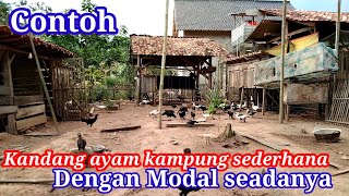 Kandang ayam kampung sederhana dengan modal seadanya#kandangayamumbaran