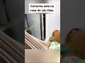 cariucha tá na casa de léo dias famosa fofocalizando cariucha