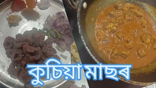 কুচিয়া মাছ ৰ ৰেচিপি | how to make kusia fish recipe in Assamese ? eal fish | Assamese cooking 🤤