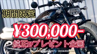 激アツキャンペーン！レボリューションマックス30万特大サポート！！！