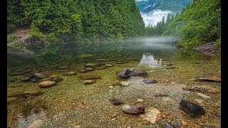 Nature Water Soothing Relaxing Music Meditation Relax nature sounds Rock bird rain forest jungle
