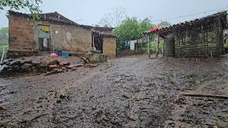 terça-feira chuvosa com trovões e ventos fortes aqui no sitio ⛈️