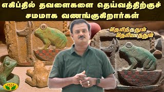 எகிப்தில் தவளைகளை கடவுளுக்கு சமமாக வணங்குகிறார்கள்  | Therinthathum Theriyathathum | Jaya Tv