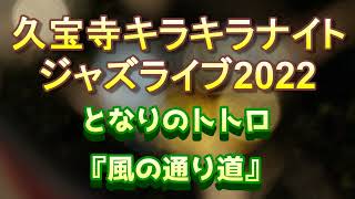 久宝寺緑地キラキラナイトライブ2022　となりのトトロ『風の通り道』