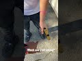 gold glock 45 vs glock 22 which one you taking shortvideo viral fypシ edc legal glock fyp