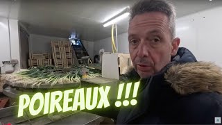 Poireaux, poireaux, poireaux... : la saison continue !