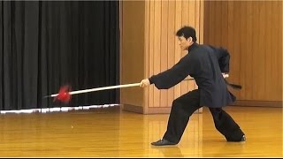 形意大槍　天龍武術会