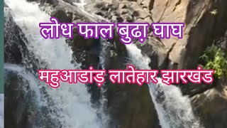 Lodh Fall।लोध जलप्रपात।बुढा़ घाघ।।झारखंड के सबसे उंचा जलप्रपात है