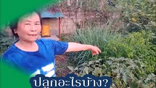 ประกวดครัวเรือนสัมมาชีพชุมชน ปี 2561