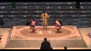 Ryuoyama vs Fujinohana Day 12 Sumo Haru Basho March 2014