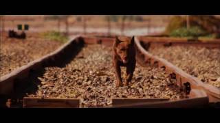 RED DOG (2011) - Official Trailer / HD Version