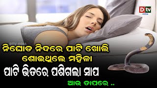 ପାଟି ଭିତରେ ପଶିଗଲା ସାପ l ଆଉ ତାପରେ .... | Odia news live updates #dtvodia