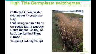 Miller_Chris_11.20_Minimizing the impacts of saltwater inundation on agricultural lands