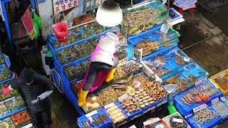 Delicious KOREAN SEAFOOD FEAST at Noryangjin Fish Market, SEOUL, South Korea