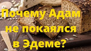 Почему Адам не покаялся в Эдеме?