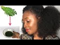 Your Hair Will Grow Like Crazy With This Moringa Shampoo