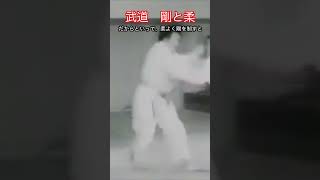 【武道・武術】剛と柔とはなんなのか　考え方　解説！！　#aikido ＃karate #martial #武道 ＃#空手＃合気道＃筋トレ#selfdefens