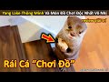 Rái Cá đáng yêu bảo vệ món đồ yêu thích bằng cả sinh mạng cực thú vị || Review Giải Trí Đời Sống