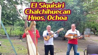 EL SIQUISIRI🎶,Arpa, Requinto, Jarana, jarochos🎶🎵🎶, TIERRA BLANCA, VERACUZ