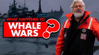 What happened to “Whale Wars”? Why it get canceled?